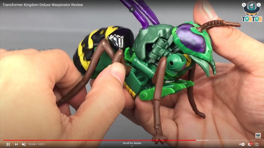 Transformers Kingdom Deluxe Class Waspinator  (28 of 38)